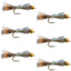 Gold Ribbed Hare's Ear Nymphs - Tungsten Bead Head Trout Flies - 6 Pack Size 10 - Korvel