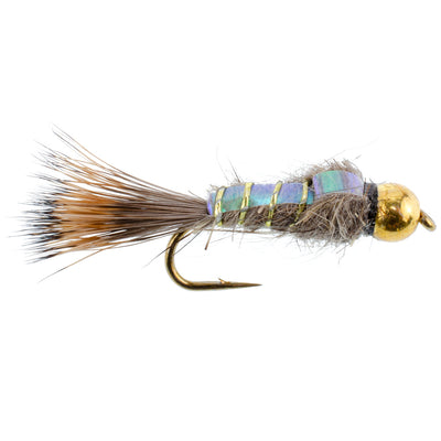 Essential Fly Fishing Collection - Copper John & Flash Back Bead Head Nymphs - 10 Premium Wet Flies - 5 Unique Patterns - Hook Sizes 10 to 1 - Korvel