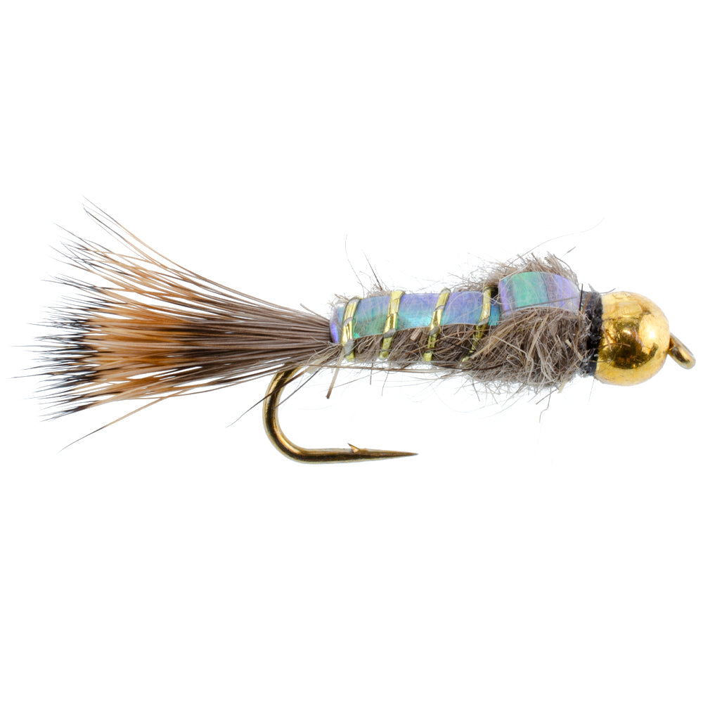Essentials Collection - Tungsten Bead Head Nymph Set - 10 Premium Wet Flies - 5 Unique Patterns - Hook Sizes 10, 12, 14, 16 - Korvel