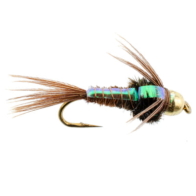 Triple Pack of Bead Head Flashback Pheasant Tail Nymphs - Size 14 - Korvel