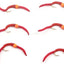 Hot Orange Bead Power Worm Nymph Flies - Set of 6 Size 14 - Korvel