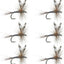 Adams Classic Dry Fly - Set of 6, Hook Size 14 - Korvel