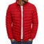 Veste en duvet en coton pour hommes pour l'automne et l'hiver