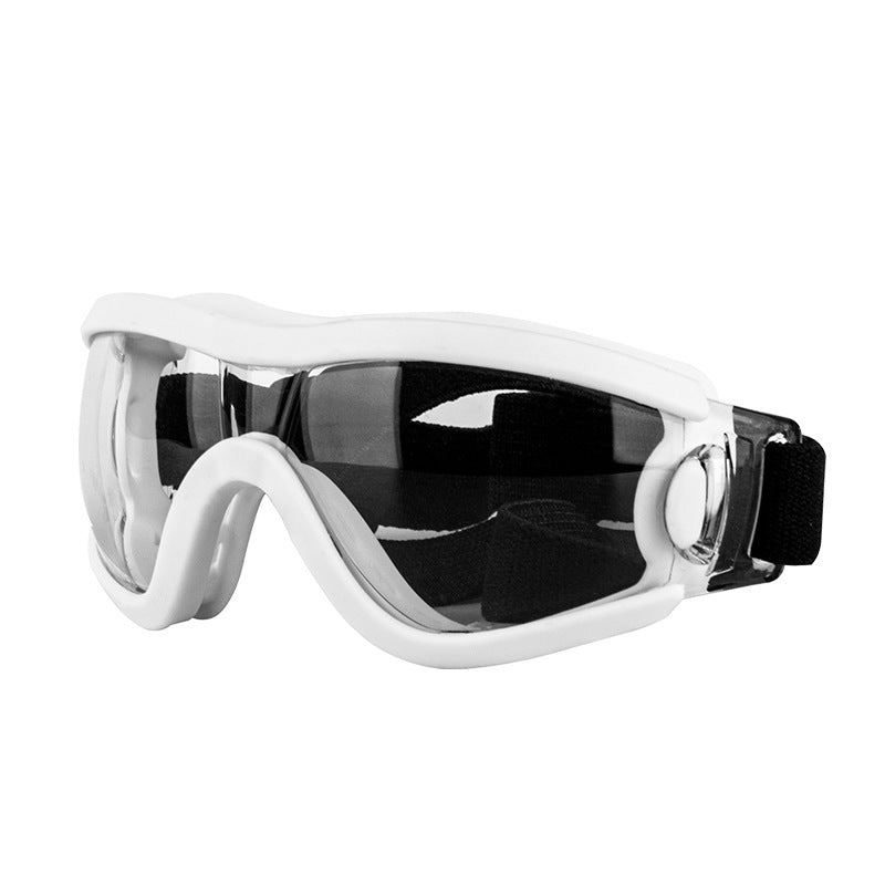 Lunettes de soleil élégantes pour animaux de compagnie avec protection UV