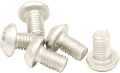 Wolf Tooth CAMO Chainring Bolt Kit - Silver