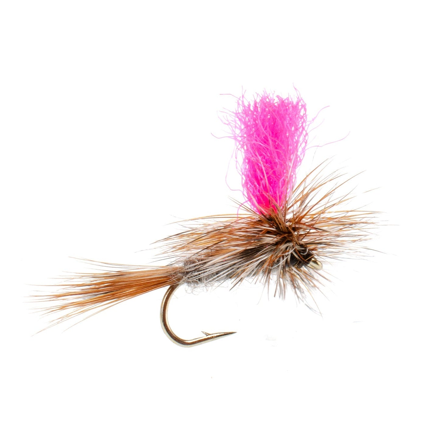Essential Eastern Trout Fly Collection - 12 Premium Dry & Nymph Patterns with Gift Box - Korvel