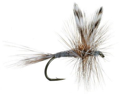 Adams Classic Dry Fly - Size 12 (3 Pack) - Korvel