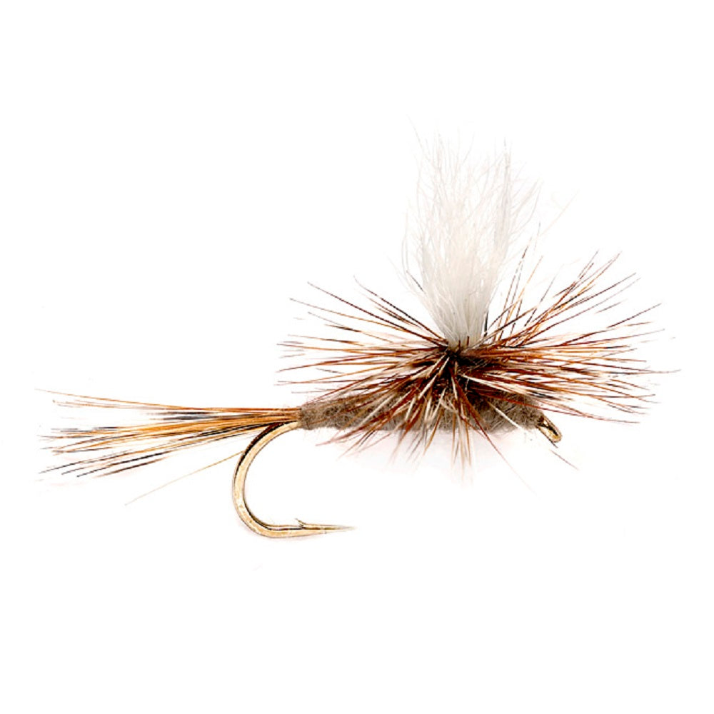 Mouche sèche classique Adams Parachute - 6 mouches, hameçon taille 10