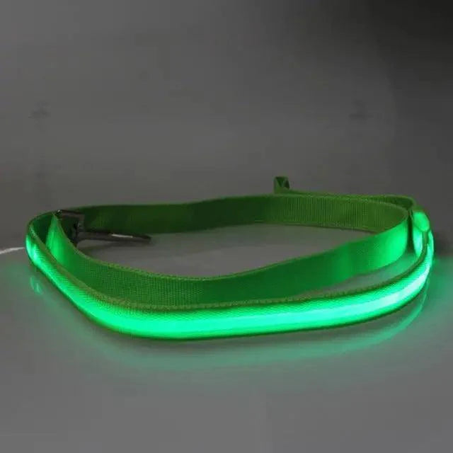 Ceinture de sécurité en nylon ajustable pour chiens et chats