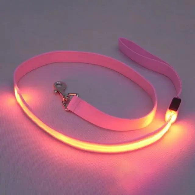 Ceinture de sécurité en nylon ajustable pour chiens et chats