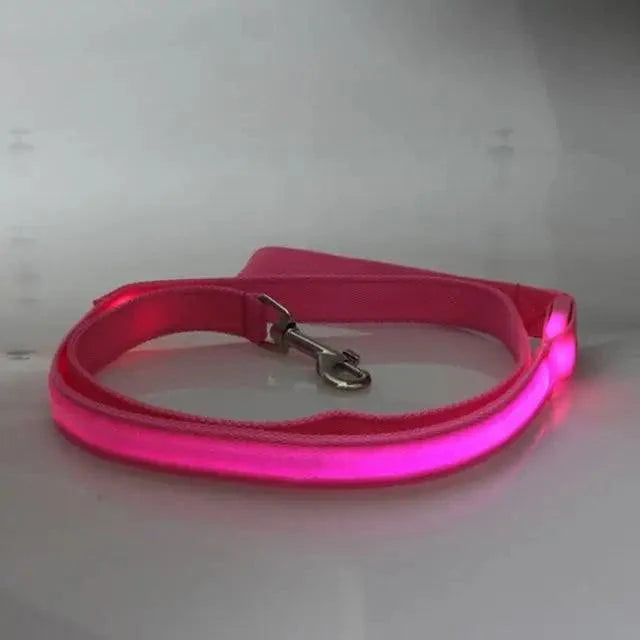 Ceinture de sécurité en nylon ajustable pour chiens et chats