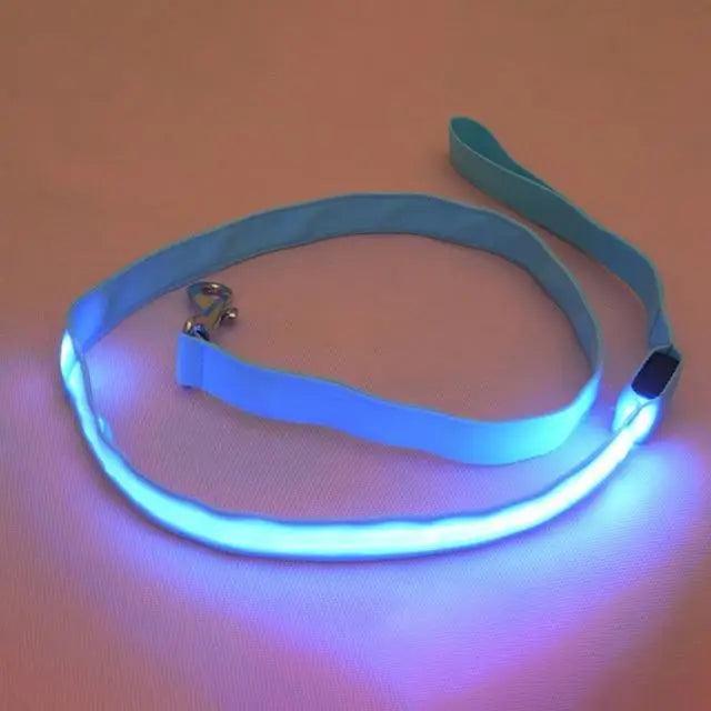 Ceinture de sécurité en nylon ajustable pour chiens et chats