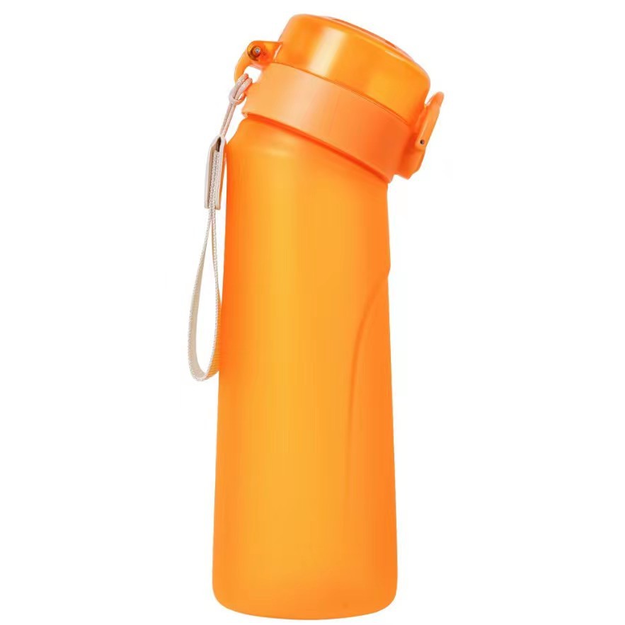 Stylish 650ml Frosted Water Bottle