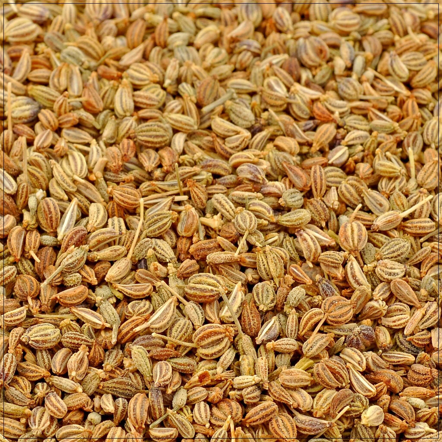 Semillas de Ajwain Premium - Especia Aromática para Delicias Culinarias