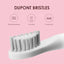 Brosse à dents ultrasonique intelligente à chargement inductif étanche