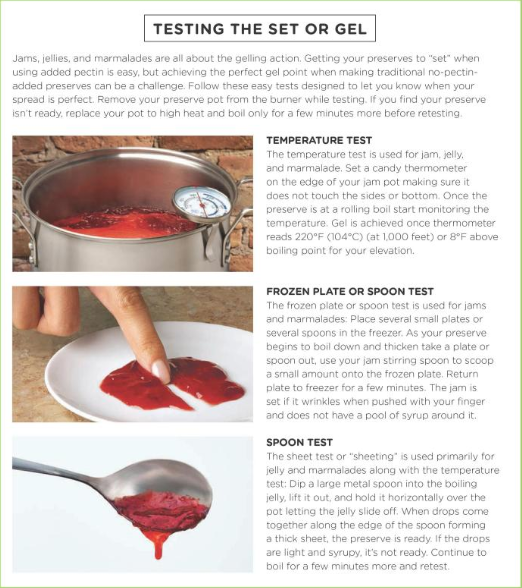 Ultimate Guide to Canning and Preserving: The All New Ball Book (Spiral Bound) - Korvel
