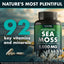 Cápsulas de Vitaminas de Compuesto de Algas Marinas Premium