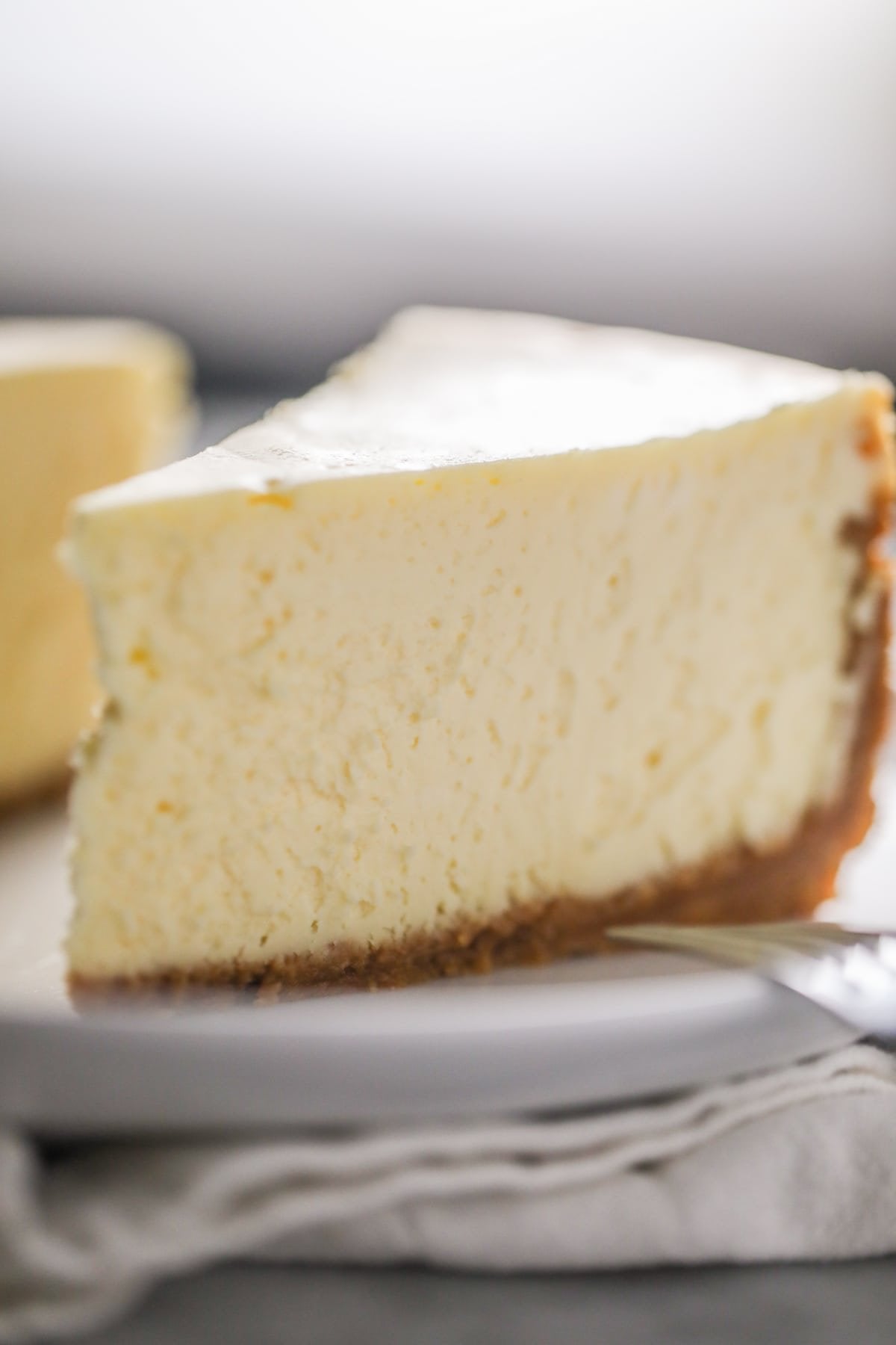 Andy Anand's Sugar Free New York Cheesecake 9" - Diabetic-Friendly Delight