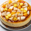 Tarta de Queso Tropical Sin Azúcar Andy Anand - 2 lbs
