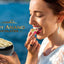 Boîte Cadeau de Chocolat aux Amandes et Yaourt Grec Premium – 1 lb