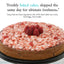 Andy Anand Sugar Free Raspberry Coconut Chocolate Cheesecake 9"