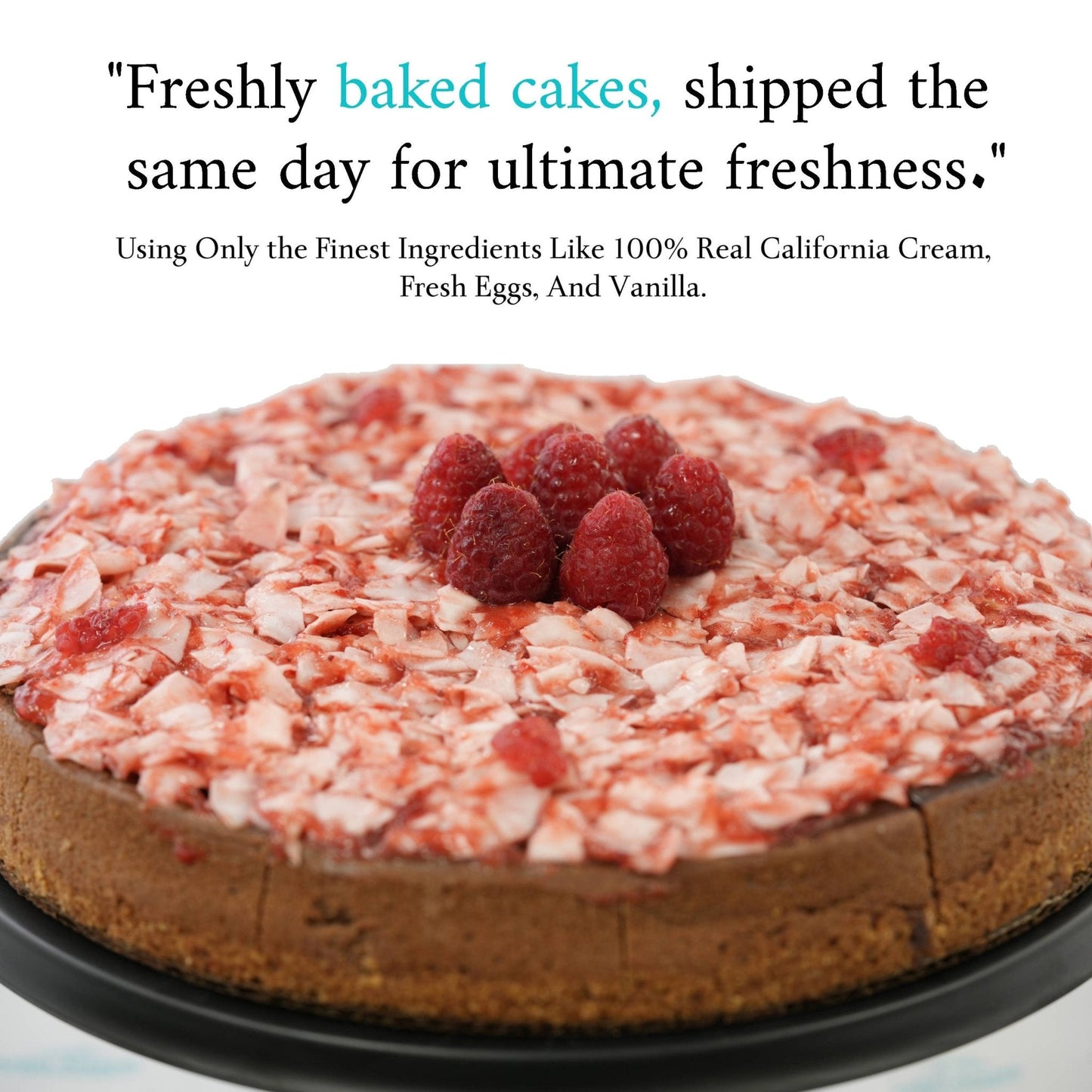 Andy Anand Sugar Free Raspberry Coconut Chocolate Cheesecake 9"