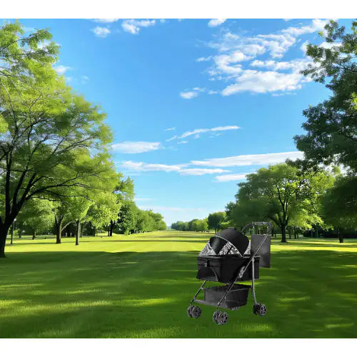 Poussette pour chien 2 en 1 pliable avec transporteur amovible