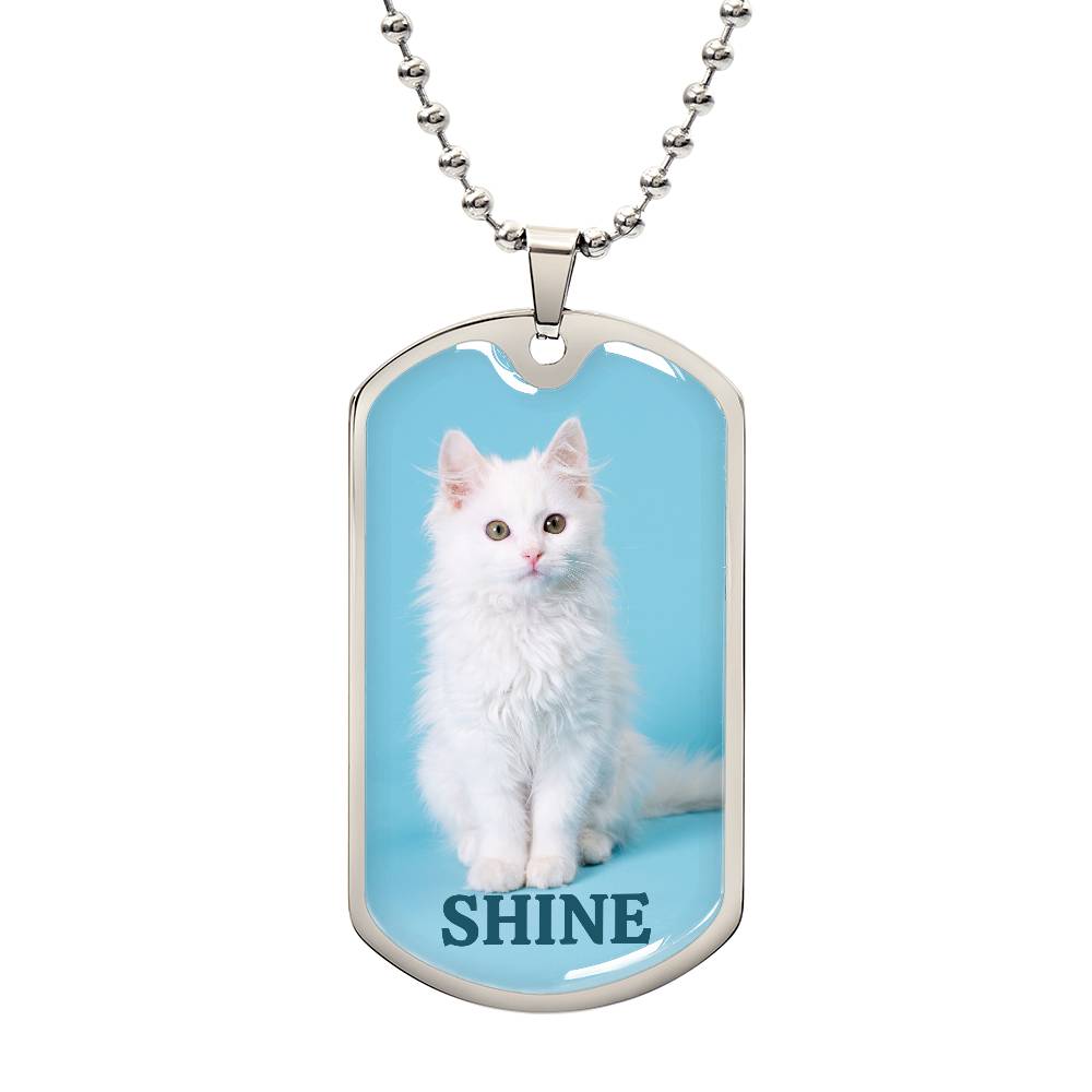 Collier Shine Kitty - Acier chirurgical premium
