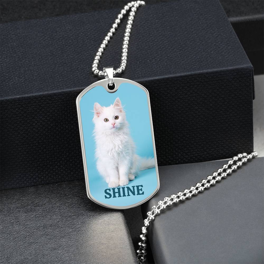 Collier Shine Kitty - Acier chirurgical premium