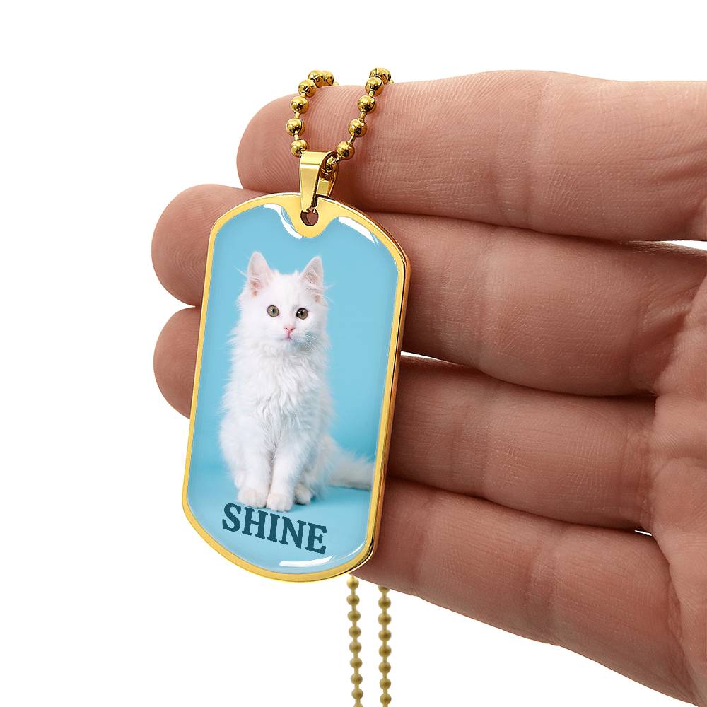 Collier Shine Kitty - Acier chirurgical premium