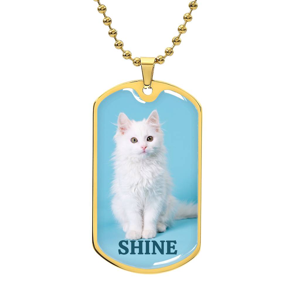 Collier Shine Kitty - Acier chirurgical premium