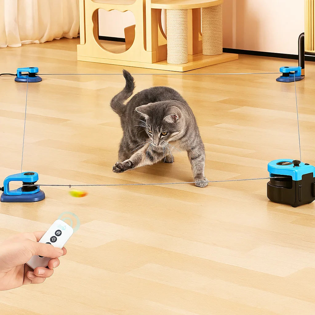FeatherRun Cat Toy - Korvel