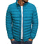 Veste en duvet en coton pour hommes pour l'automne et l'hiver