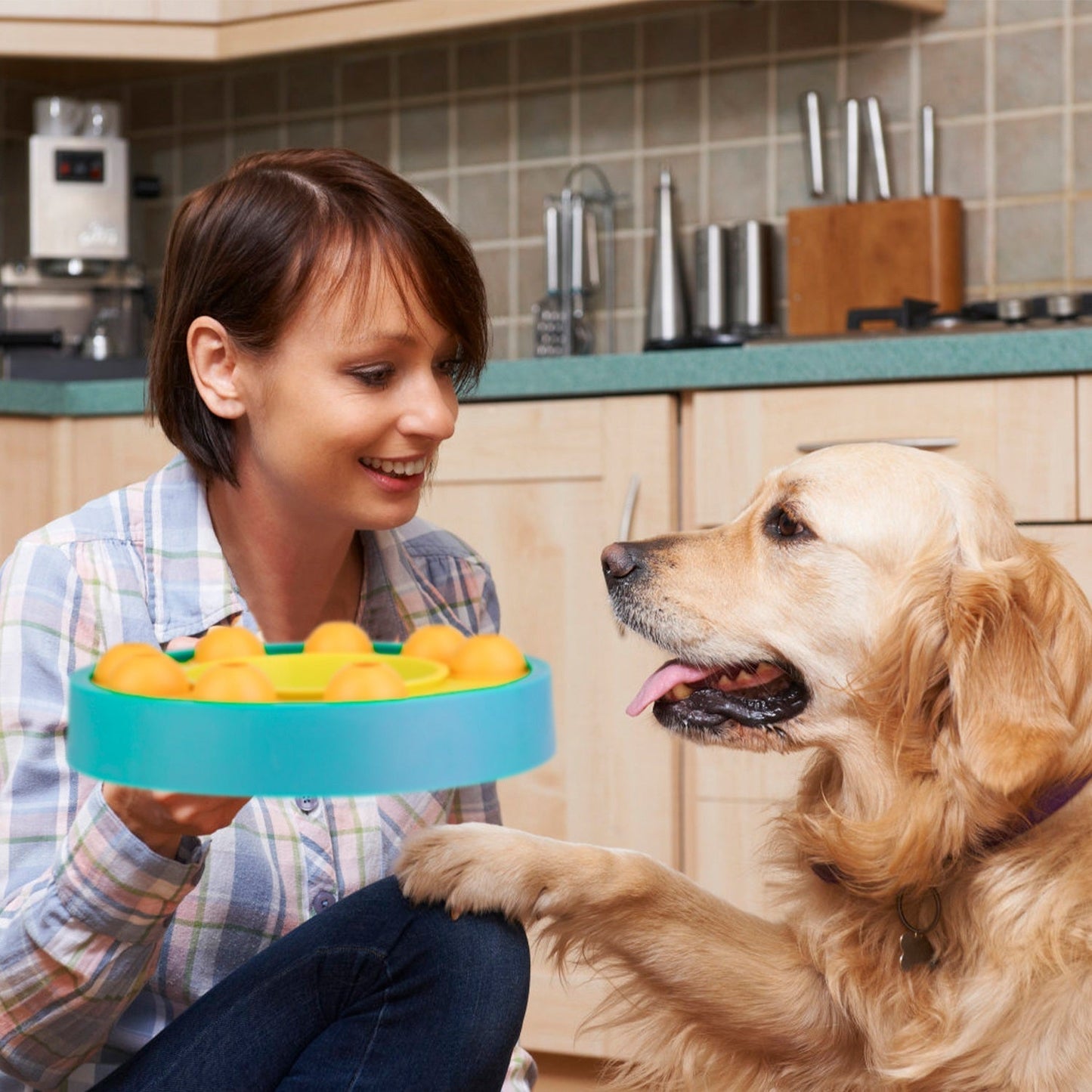 GBruno Comedero Puzzle para Perros