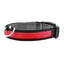 Collar LED para Perros GBruno USB - Visibilidad Nocturna Mejorada