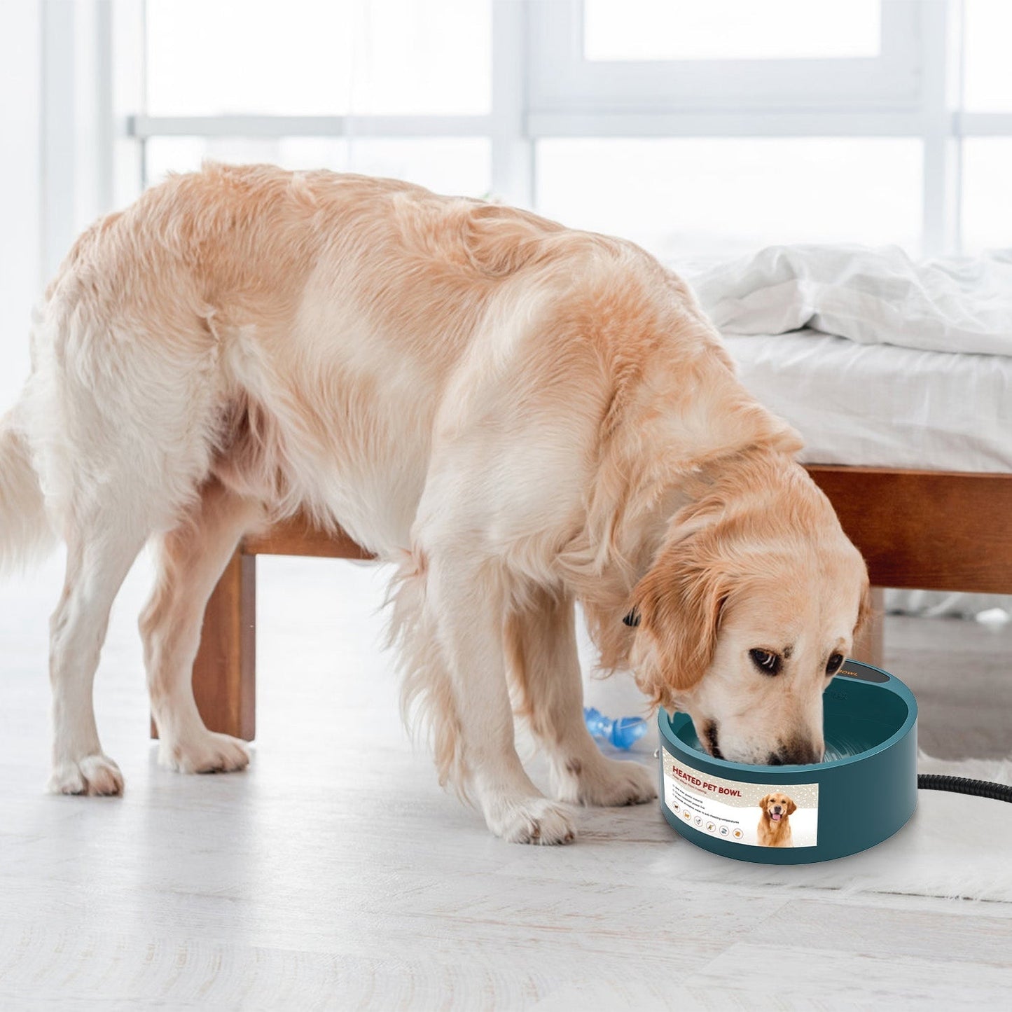 Cuenco de Agua Calentado GBruno para Perros y Gatos