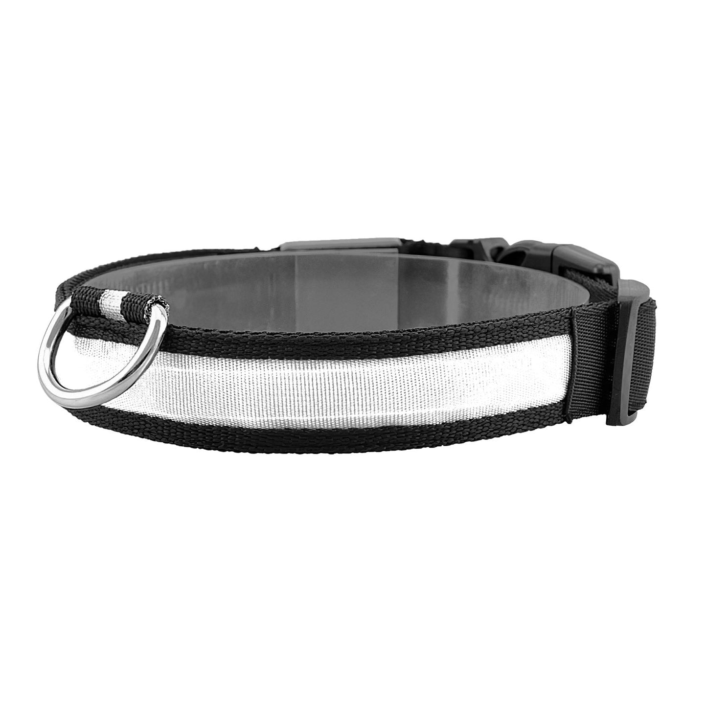 GBruno LED Dog Collar - High Visibility Safety