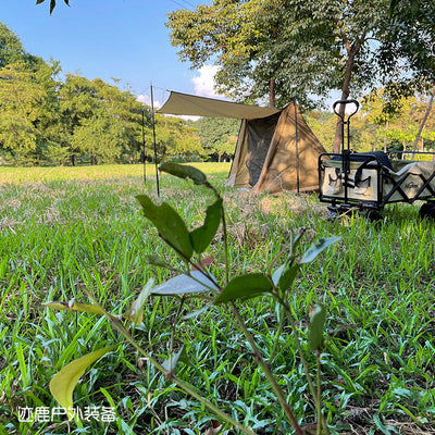 Lightweight Waterproof Pop-Up Tent for Two
