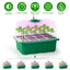 5-Pack Seed Starter Tray with Grow Light and Humidity Dome