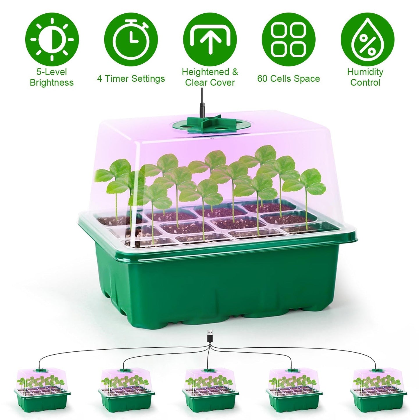 5-Pack Seed Starter Tray with Grow Light and Humidity Dome