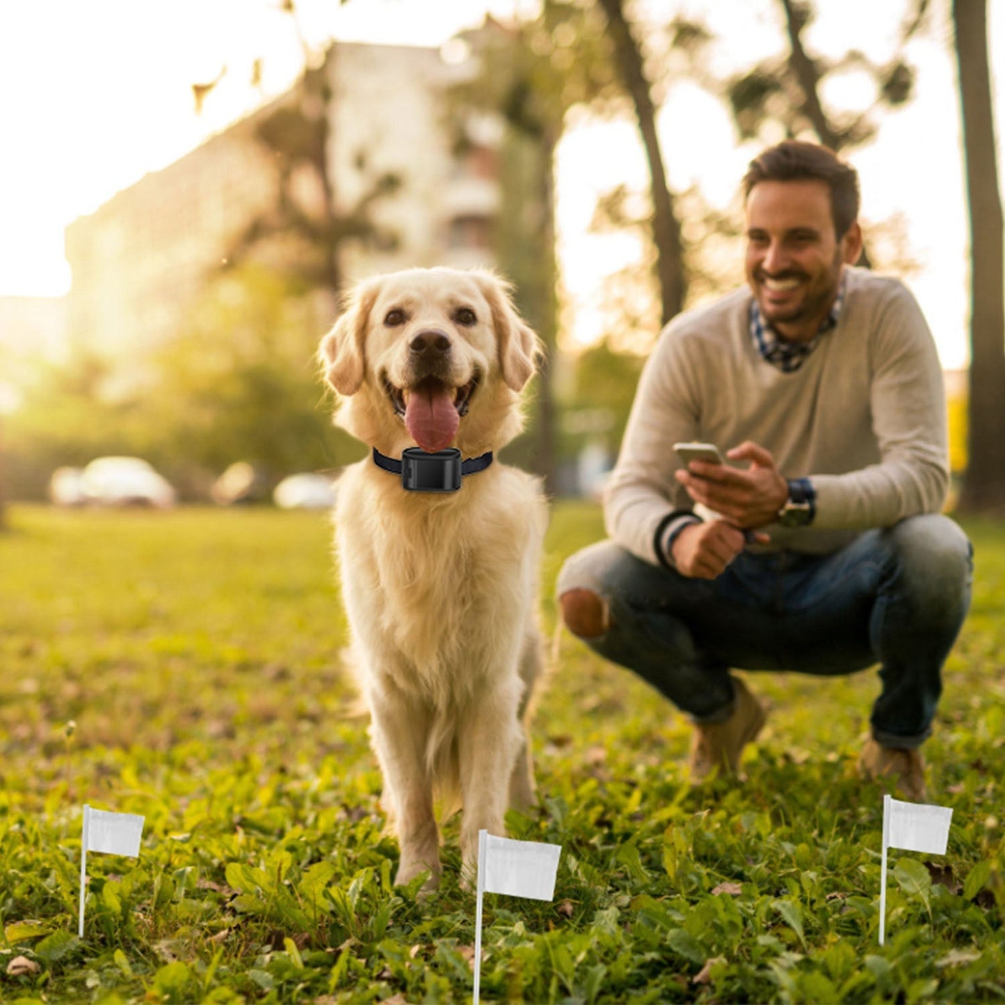 Récepteur de collier électrique GBruno pour chien pour l'entraînement