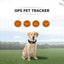 Collier de suivi GPS pour animaux de compagnie Premium