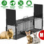 32in 2-Door Live Animal Cage Trap for Small Animals