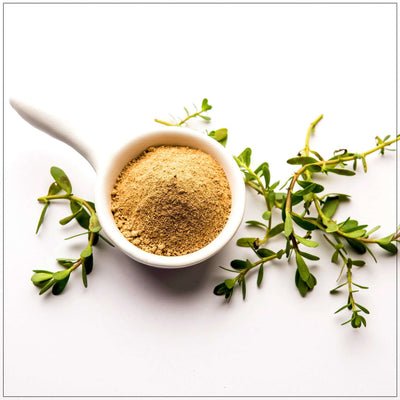 Premium Bacopa Powder for Culinary Use