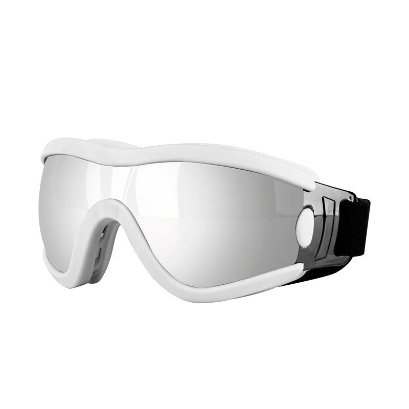 Lunettes de soleil élégantes pour animaux de compagnie avec protection UV