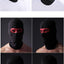 Premium Windproof Balaclava for All Seasons
