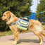 Mochila Grande Premium para Perros de Exterior