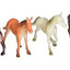 Chevaux de 2,5" Rhode Island Novelty