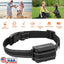 Récepteur de collier de dressage pour chiens GBruno Premium