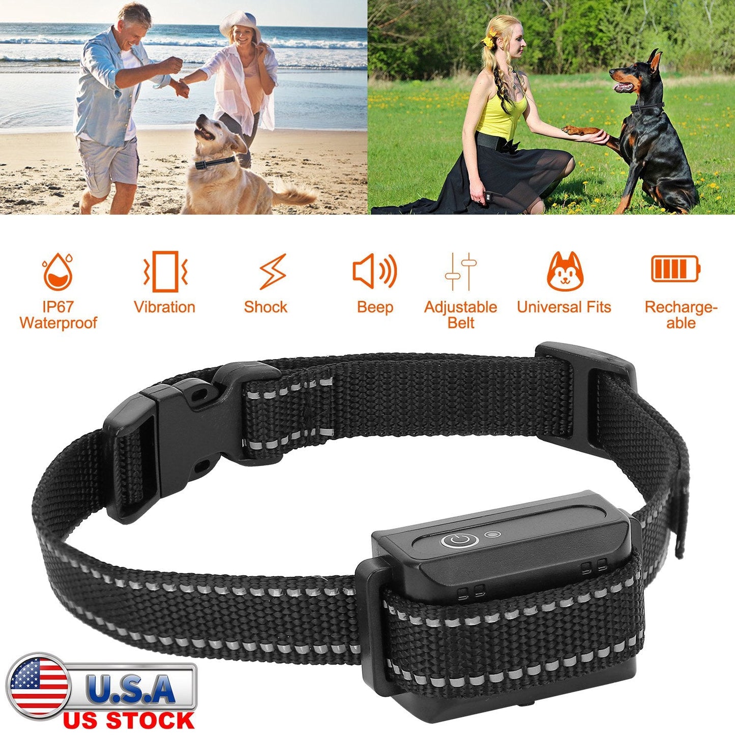 Récepteur de collier de dressage pour chiens GBruno Premium
